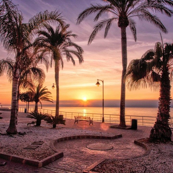 beachfront promenade in Torrevieja at golden hour, wide shot with palm trees and apartment blocks | alt="Beachfront promenade in Torrevieja, Costa Blanca, at golden hour