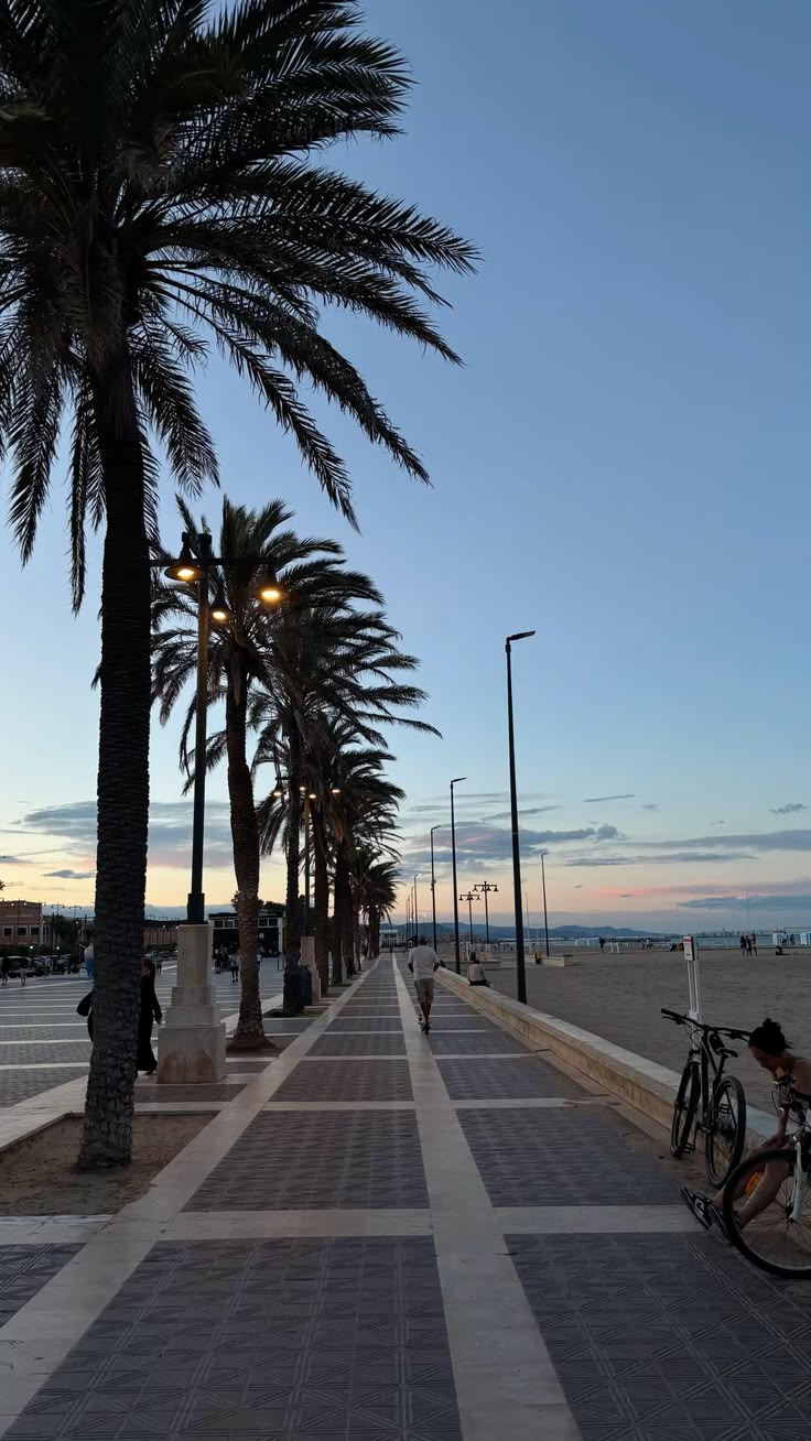 Promenada przy plaży na Costa Blanca z palmami, idealna na życie i inwestycje w nieruchomości w 2026 roku.